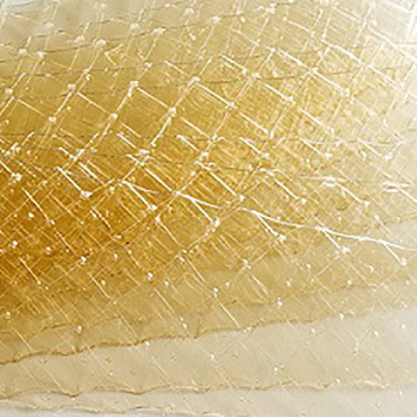 Colla di pesce 0